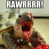 turtleteam1289